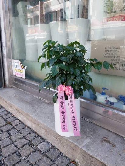 업로드 이미지