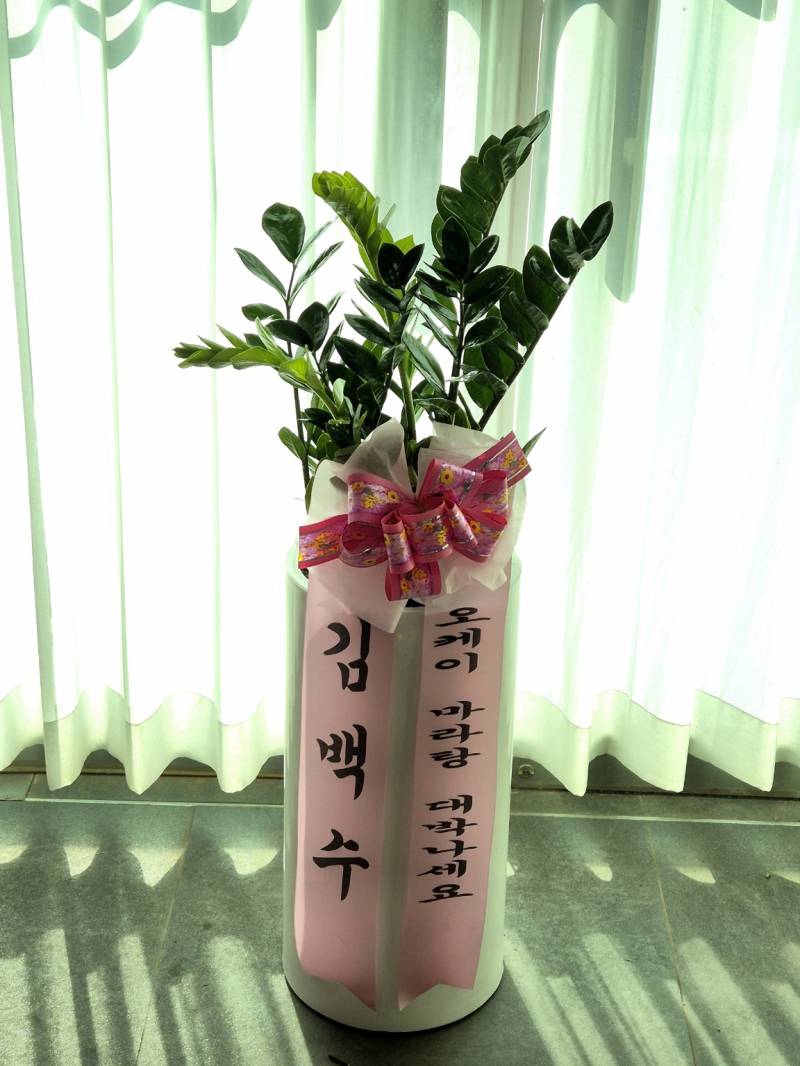 업로드 이미지