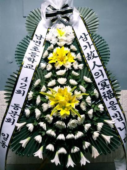 업로드 이미지