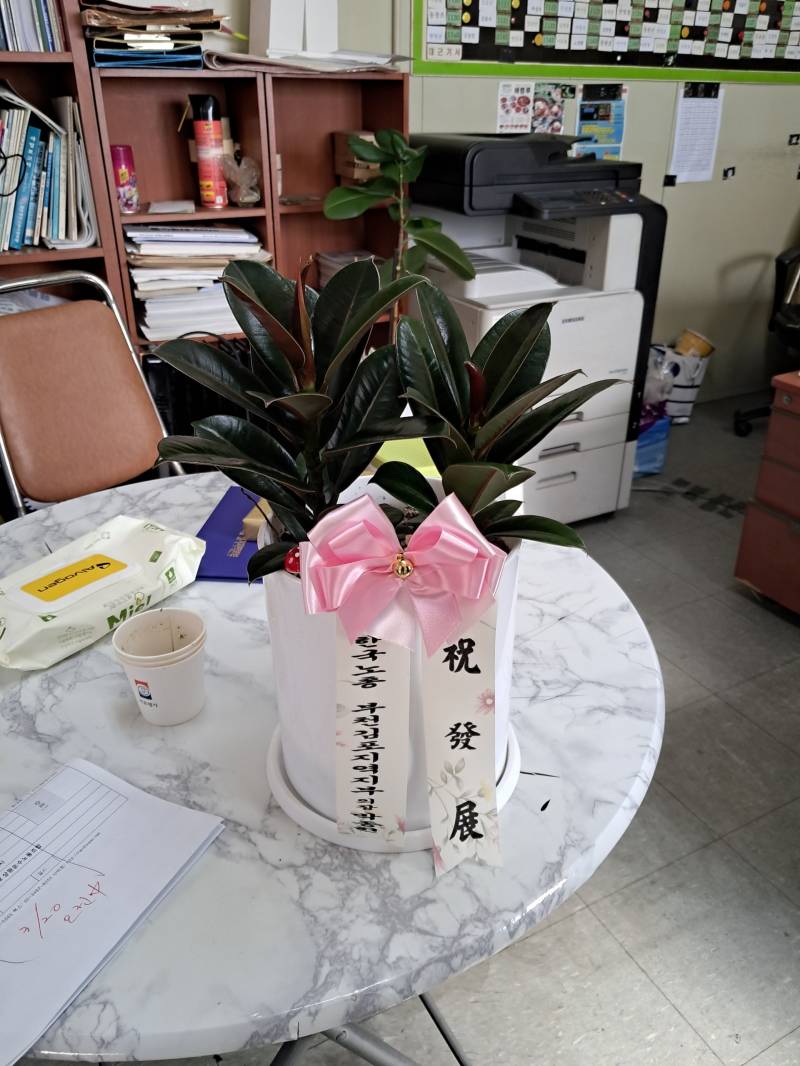 업로드 이미지