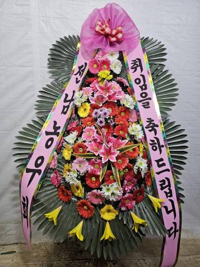 업로드 이미지
