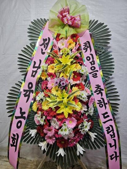업로드 이미지