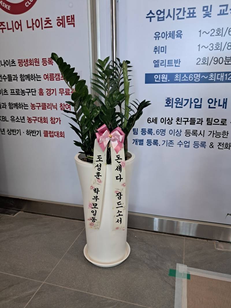 업로드 이미지