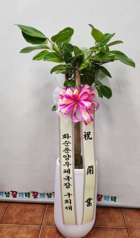 업로드 이미지