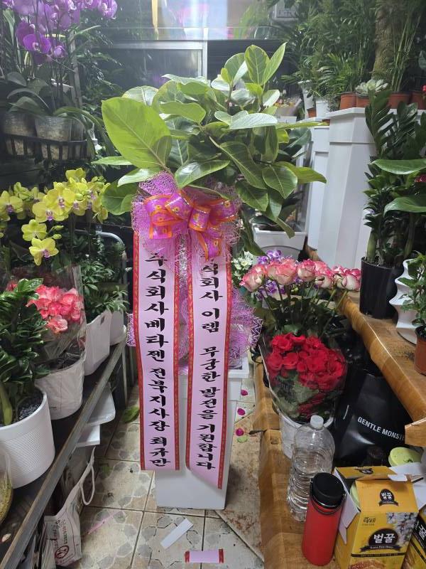 업로드 이미지