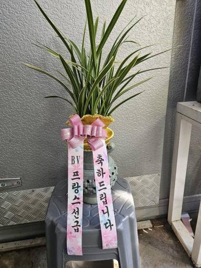 업로드 이미지