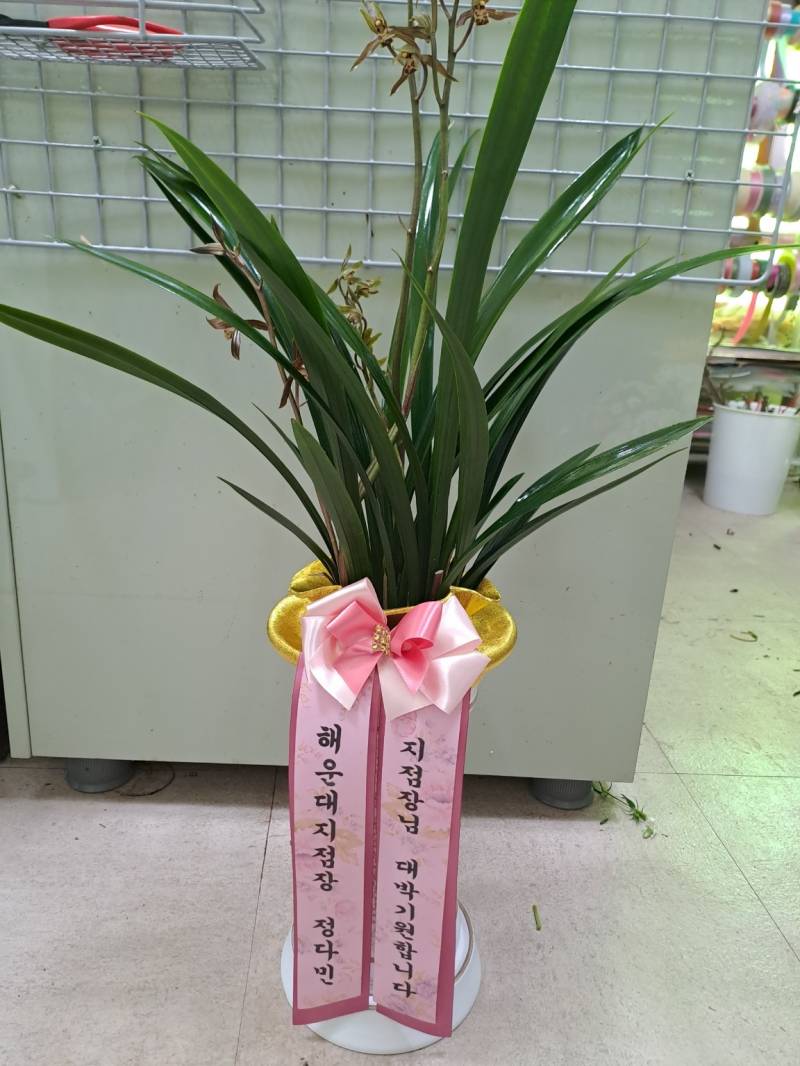 업로드 이미지