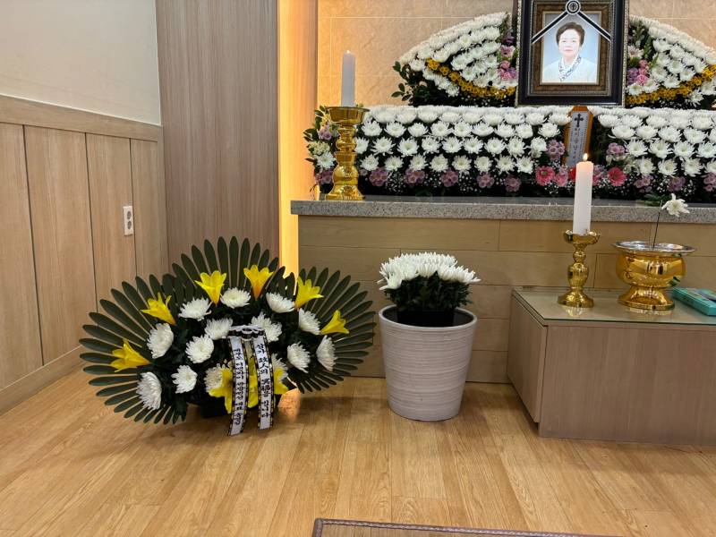 업로드 이미지