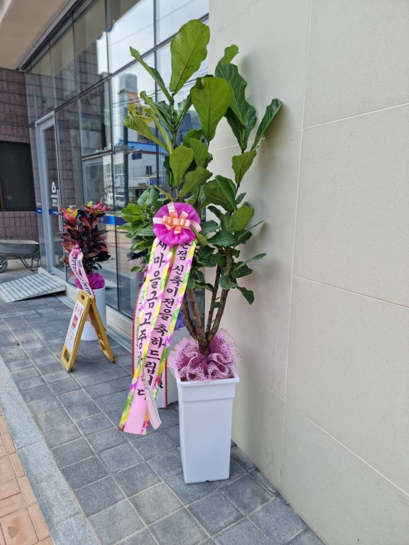 업로드 이미지