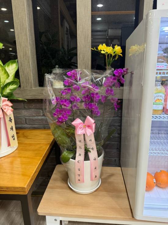 업로드 이미지