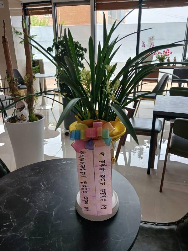 업로드 이미지