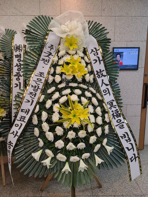 업로드 이미지