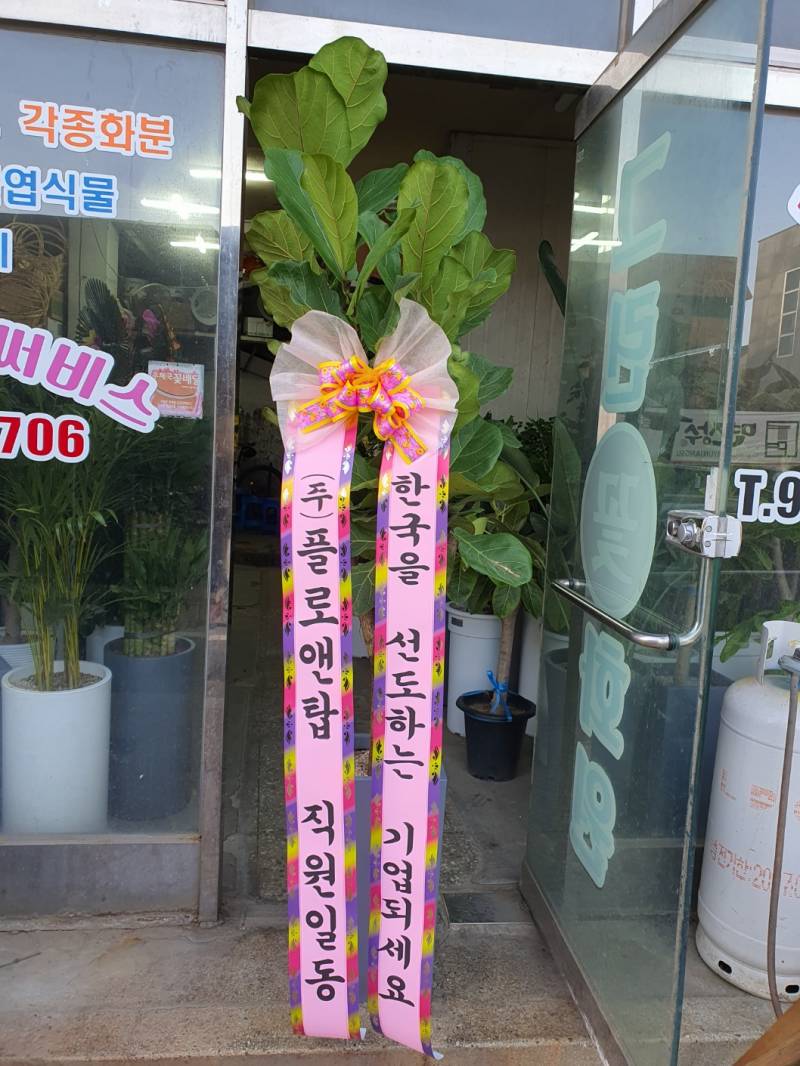 업로드 이미지