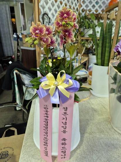 업로드 이미지