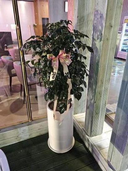 업로드 이미지