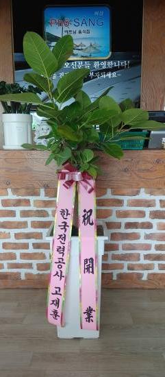 업로드 이미지