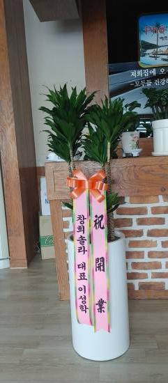 업로드 이미지