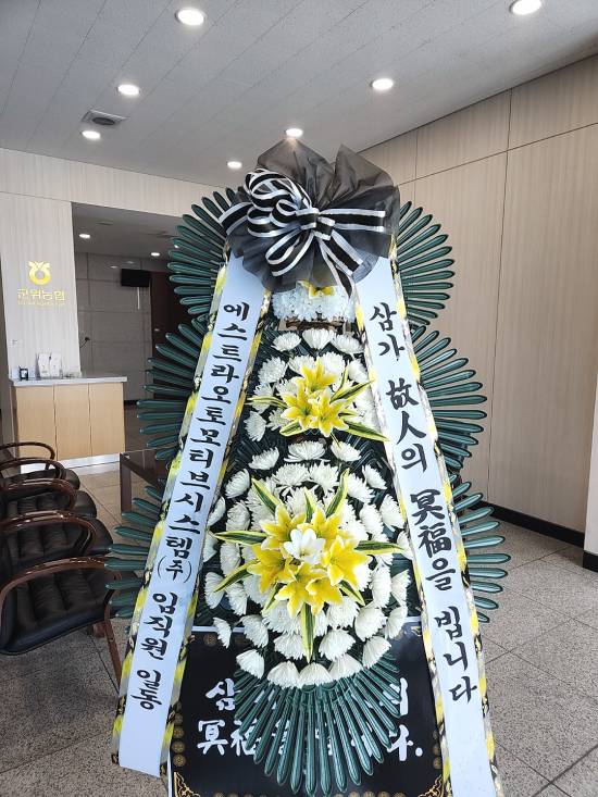 업로드 이미지