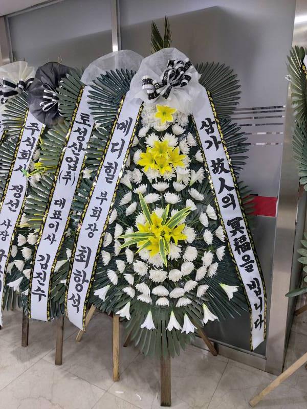 업로드 이미지