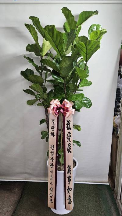 배송사진