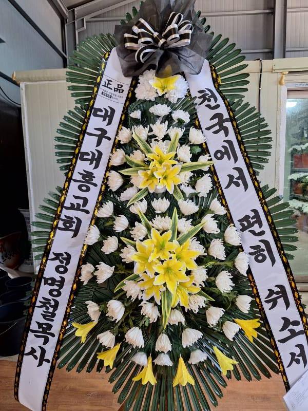 업로드 이미지