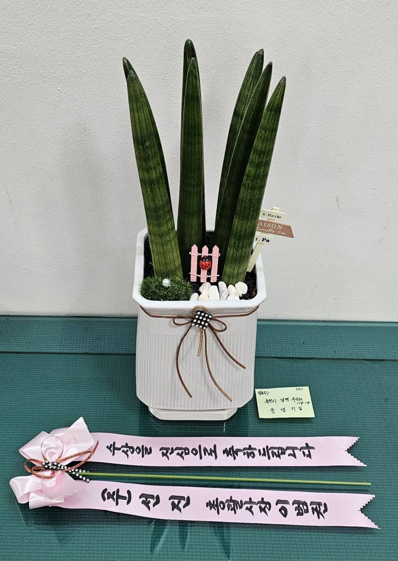 업로드 이미지