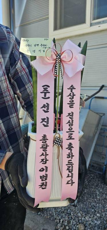 업로드 이미지