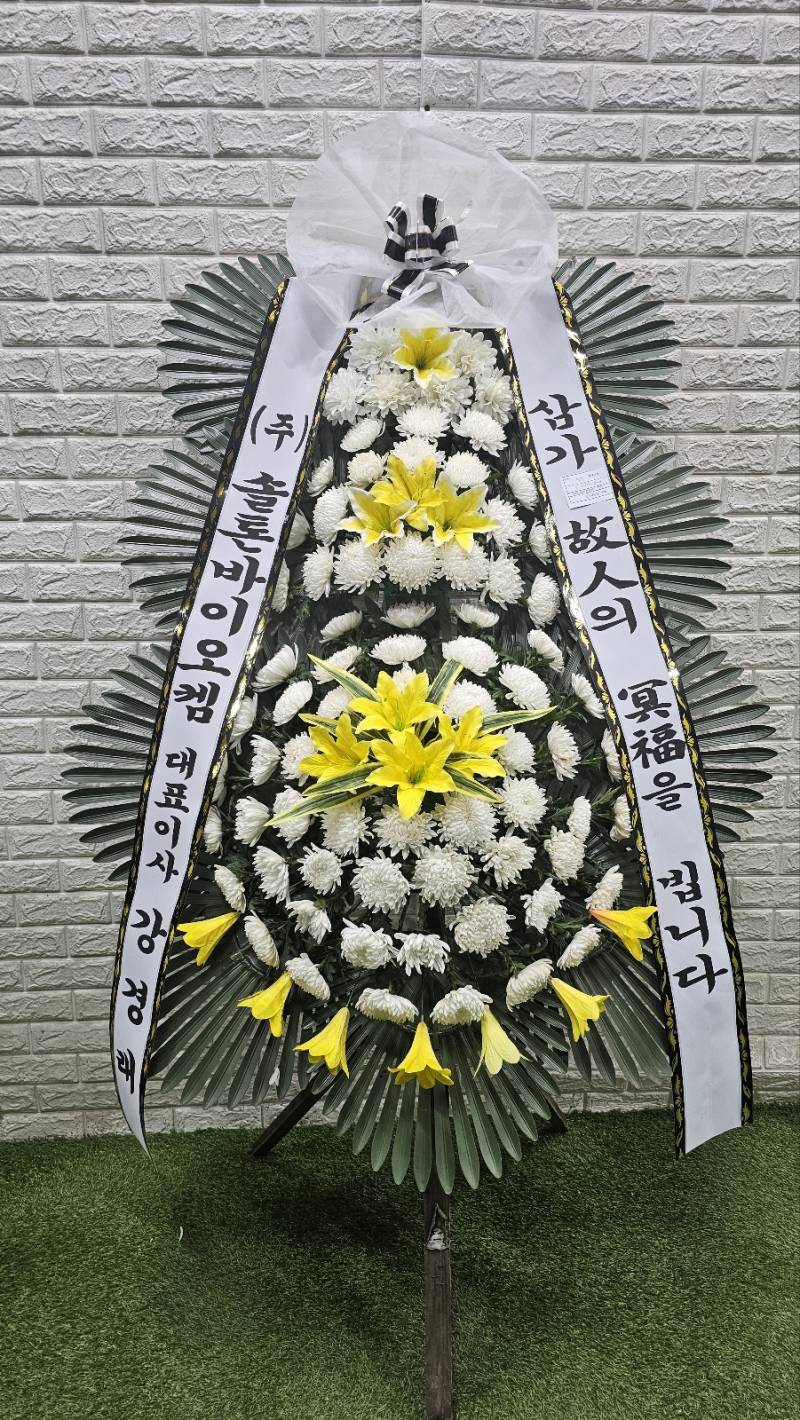 업로드 이미지