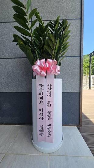 업로드 이미지