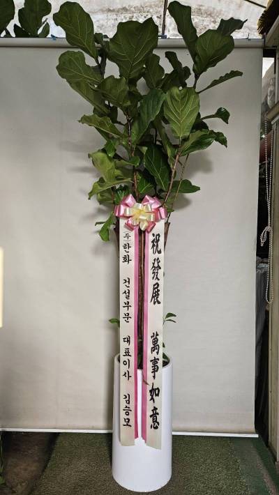 배송사진
