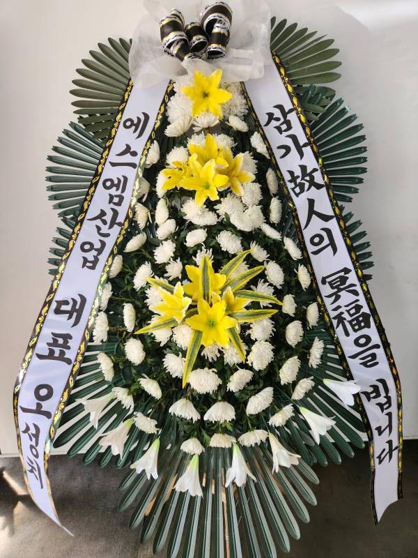 업로드 이미지