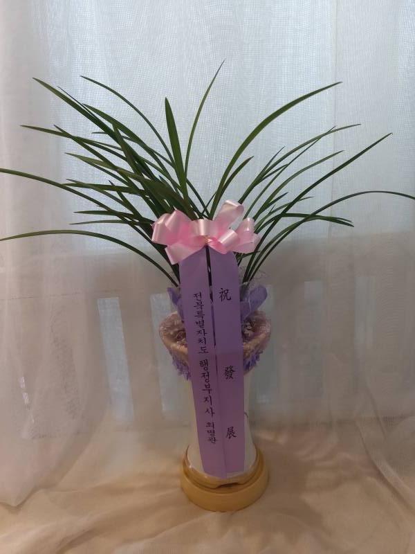 업로드 이미지