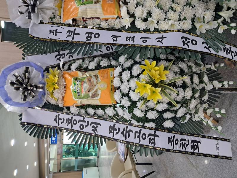 업로드 이미지