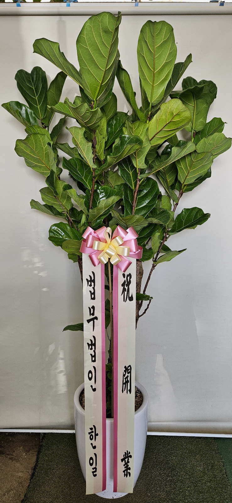 업로드 이미지