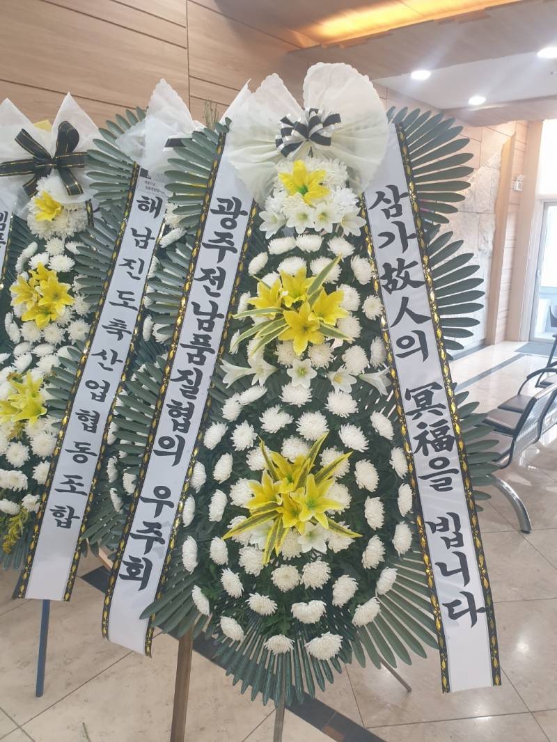 업로드 이미지