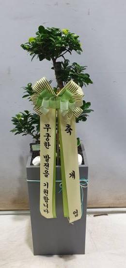 업로드 이미지