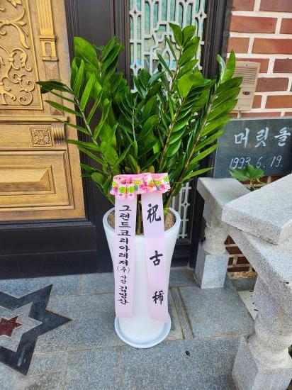 업로드 이미지