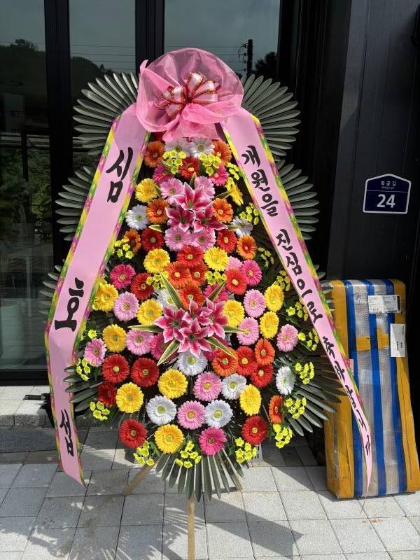 업로드 이미지