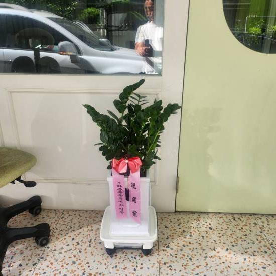 업로드 이미지
