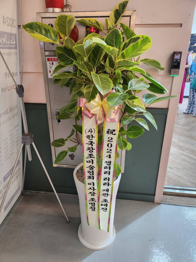 업로드 이미지