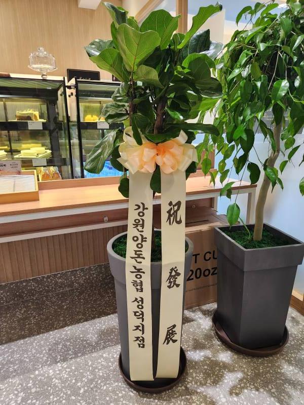 업로드 이미지