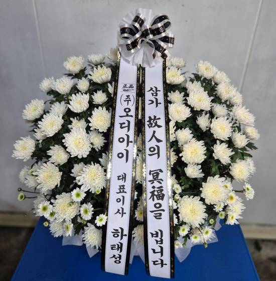 업로드 이미지
