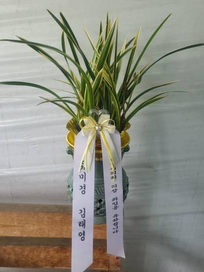 업로드 이미지