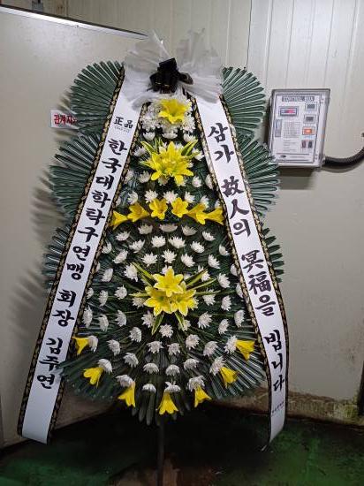 업로드 이미지