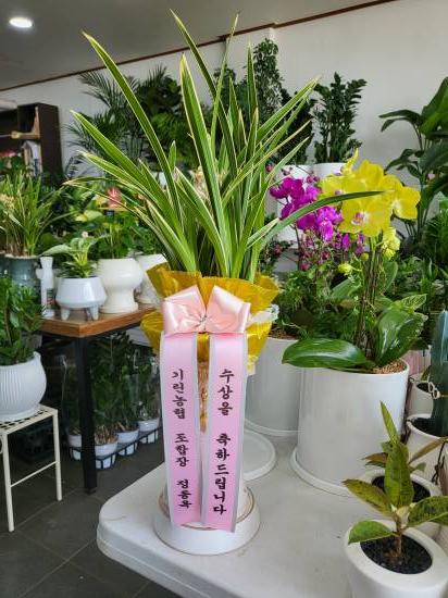 업로드 이미지