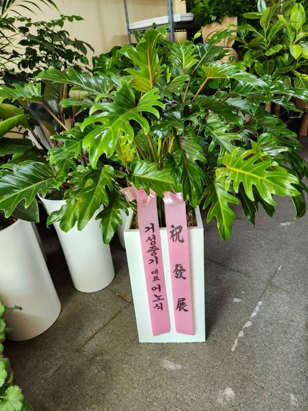 업로드 이미지