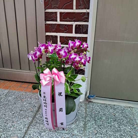 업로드 이미지