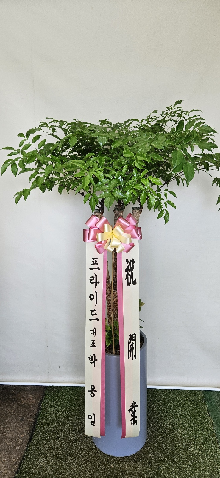 업로드 이미지