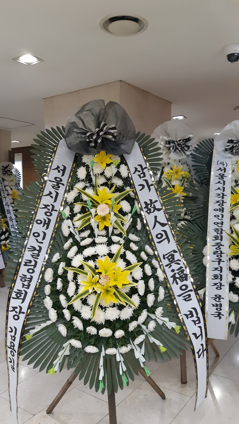 업로드 이미지