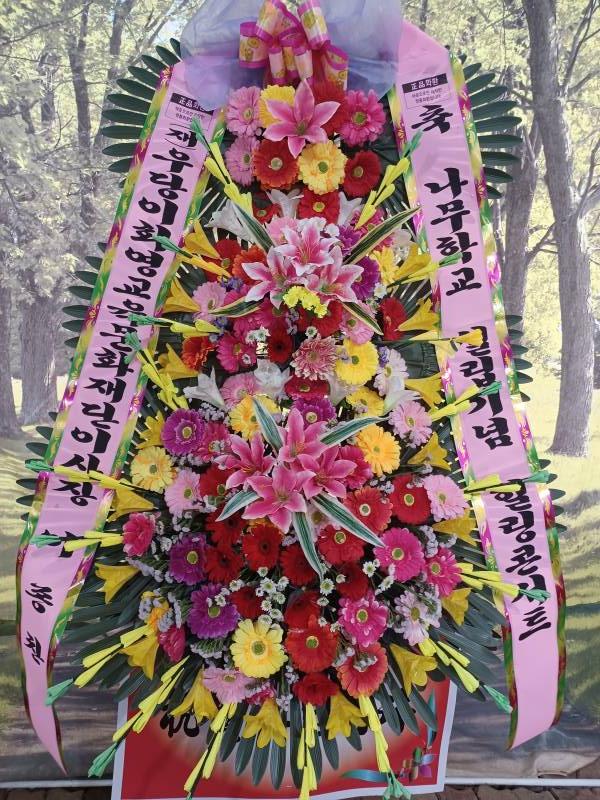 업로드 이미지